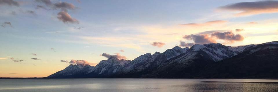 kalehalder's profile banner image