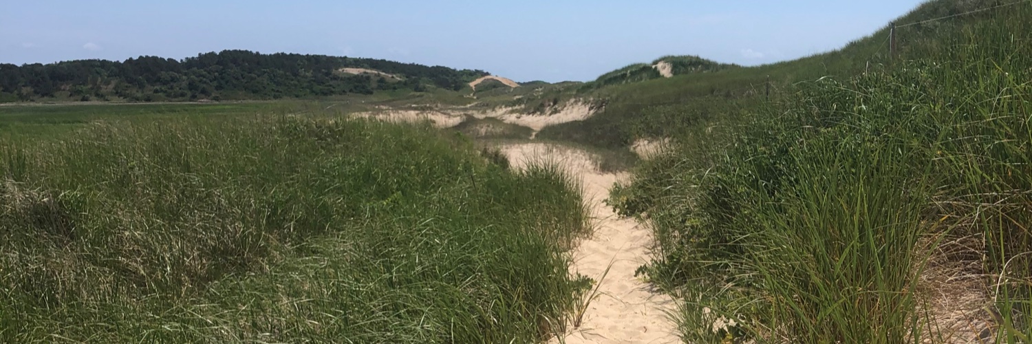 Rebekah Mintzer banner