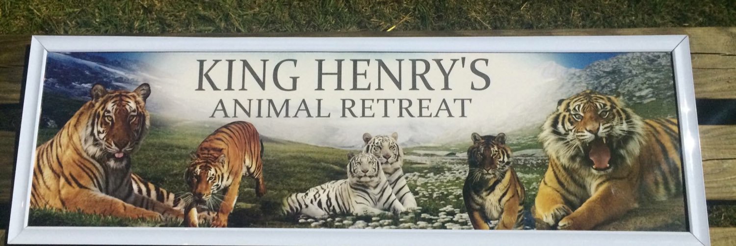 kinghenryanimal's profile banner image