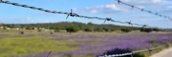 alexhdezgcia Profile Banner