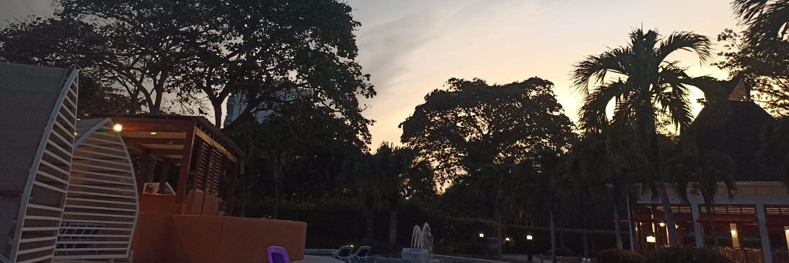 paocriado's profile banner image