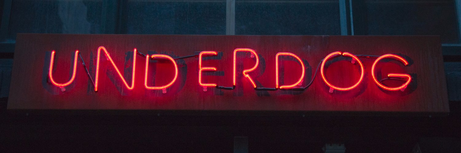 That Nice Lee banner