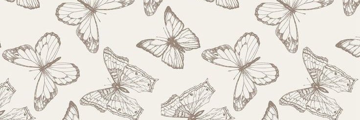 nadallacqua's profile banner image