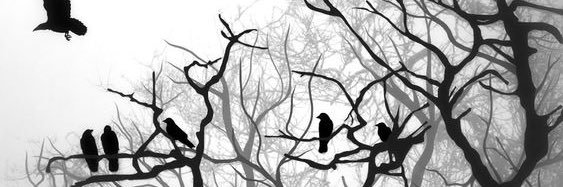 ruffneckinc's profile banner image