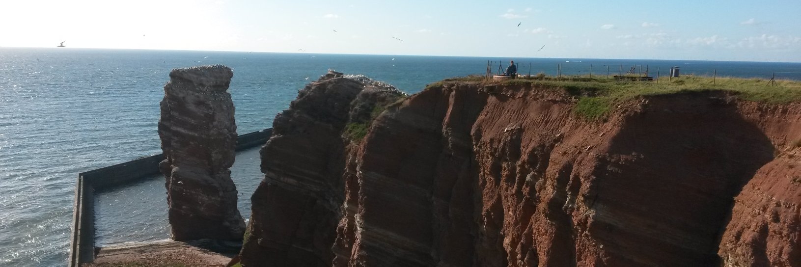 Manuel Steidel banner