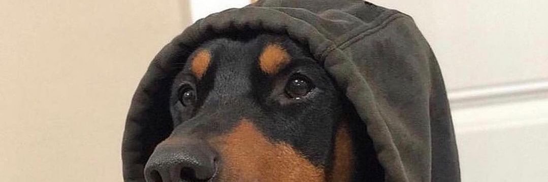 SleyManMira's profile banner image
