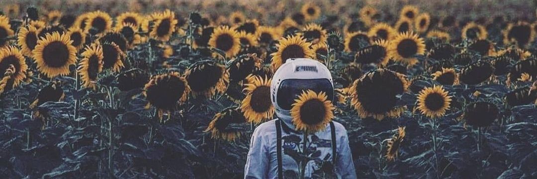 jancrdz's profile banner image