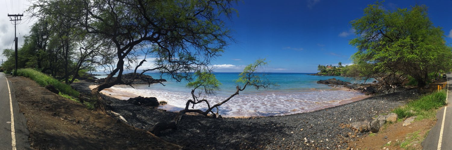 💧Geologist 💦 banner