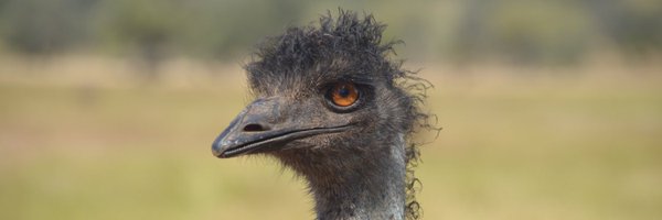 InaGuddle Profile Banner