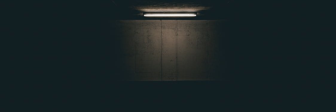 Luca banner