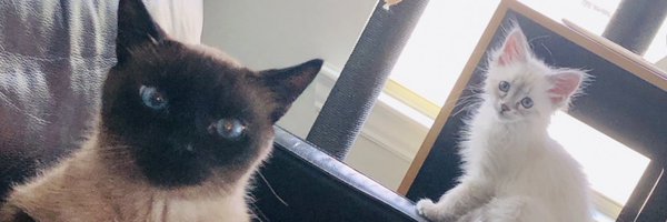 JGilbertSci Profile Banner