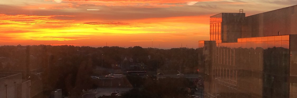 Hannah Rashdan banner