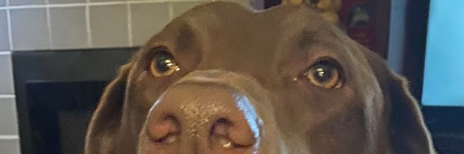 TopDawg3's profile banner image