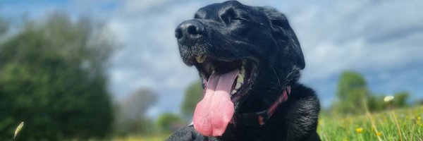 BethJonesy5 Profile Banner