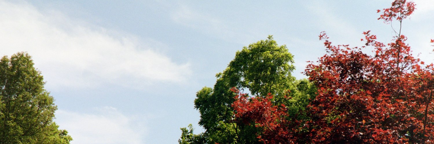 Logan_Tweets's profile banner image