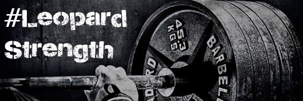 LeopardStength1's profile banner image
