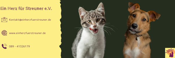 Herz_Streuner Profile Banner