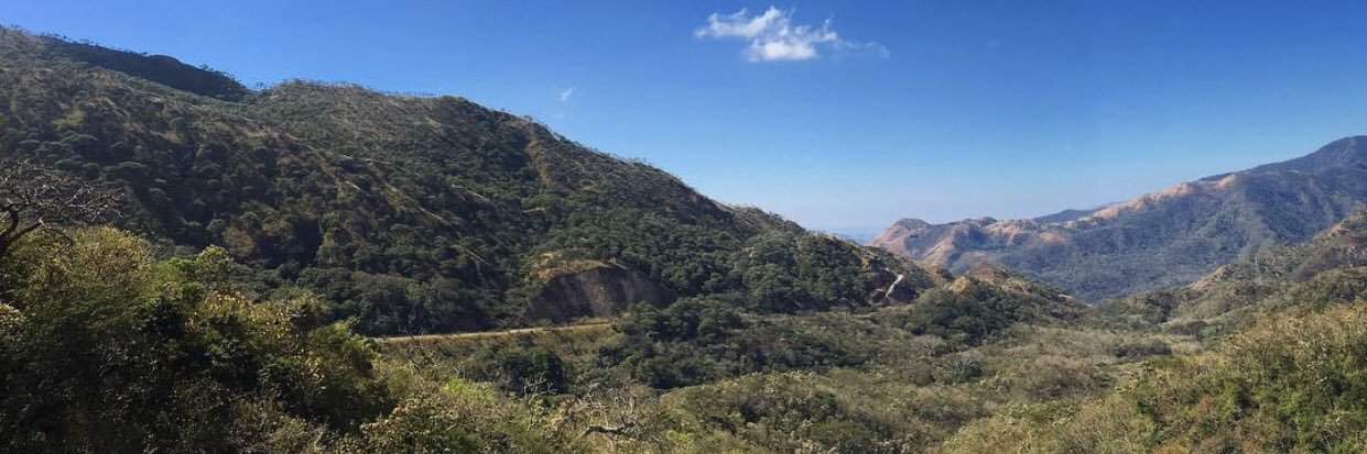 Sofía Fernández P banner