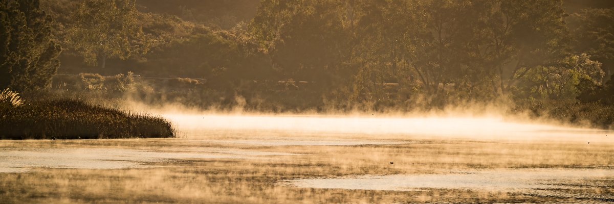 WMahaffeyPhoto's profile banner image