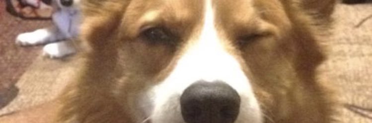sheriqwe's profile banner image