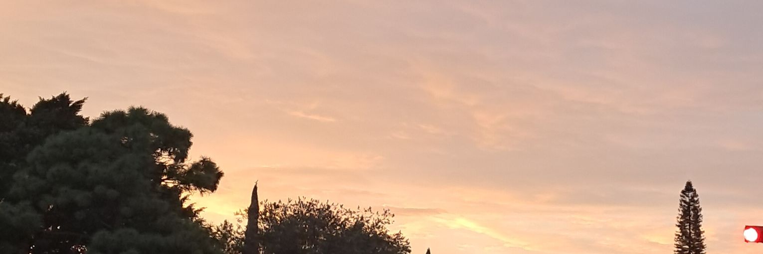 1Lizzysv's profile banner image