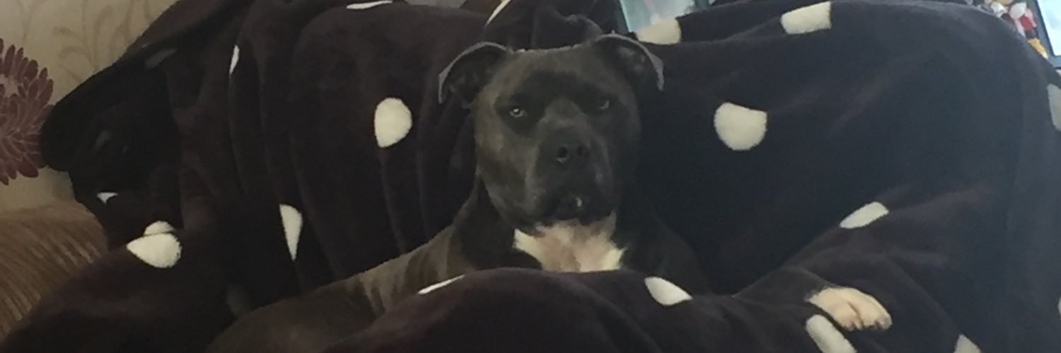 WibbleN's profile banner image