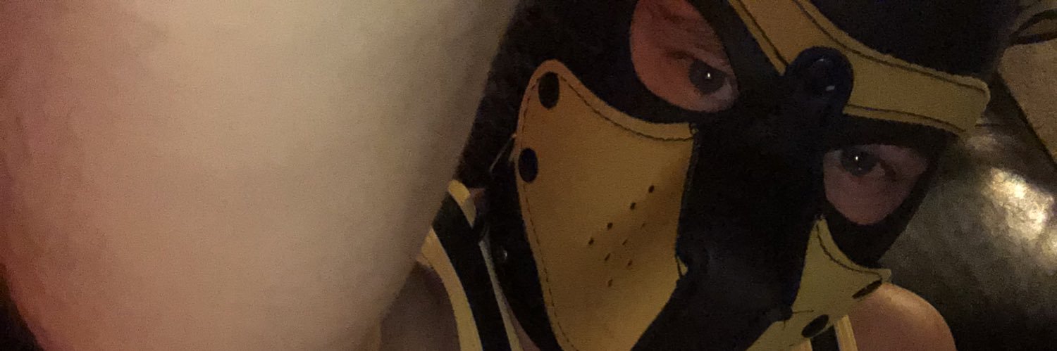 Pup Fylo banner