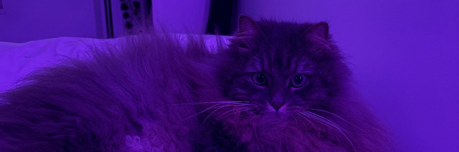 april🐈 banner
