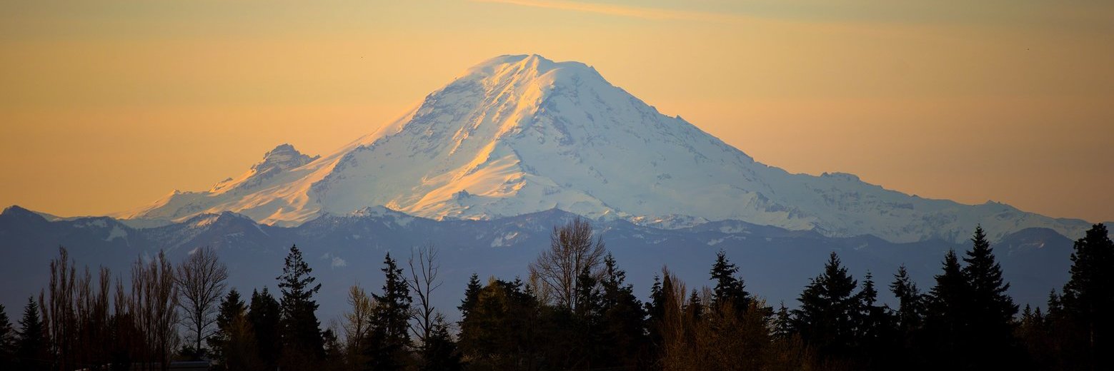 Saving Private Bryan banner