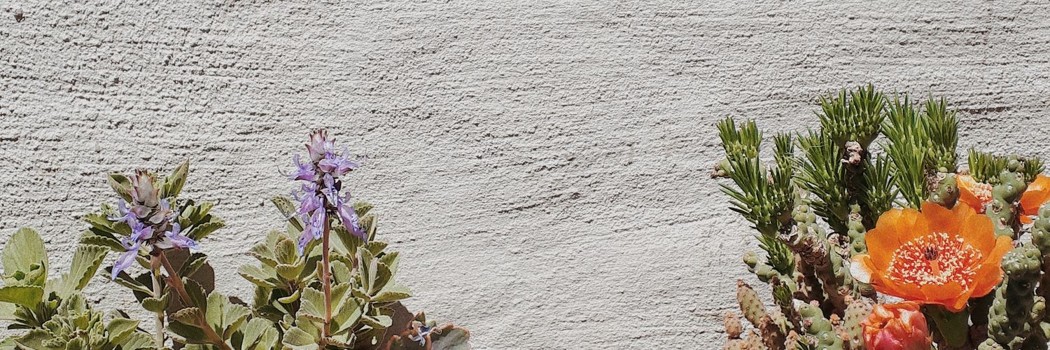 Luperucca's profile banner image
