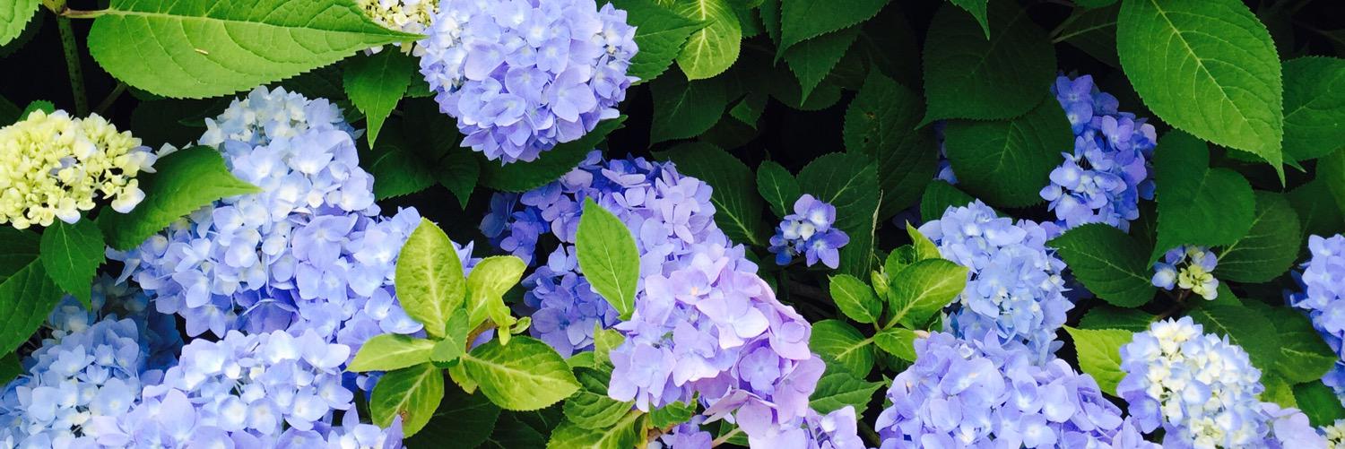 jamie_appss's profile banner image