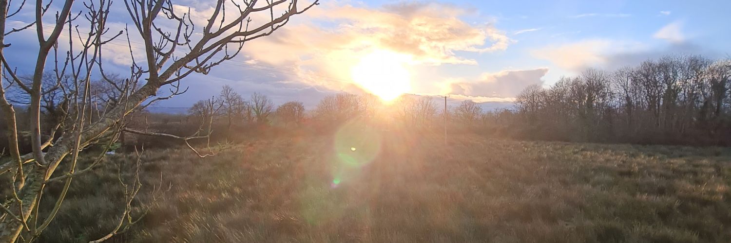 Evan_Lenihan's profile banner image
