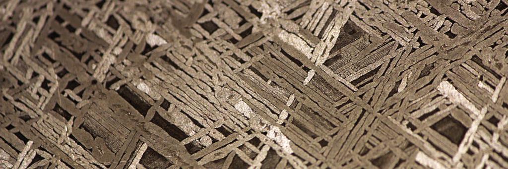 That’s Dr. Monkiewicz to you banner