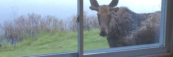 7axles Profile Banner