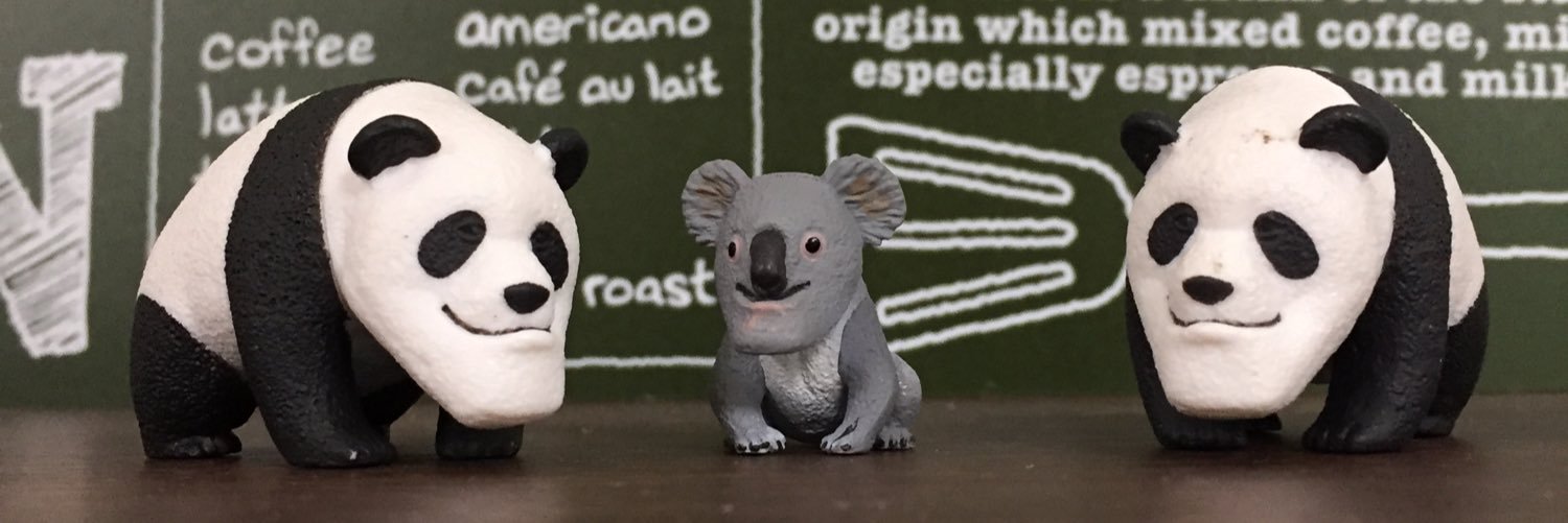 ゆーきのこ🍄 banner