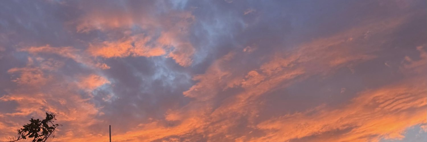 Angie banner