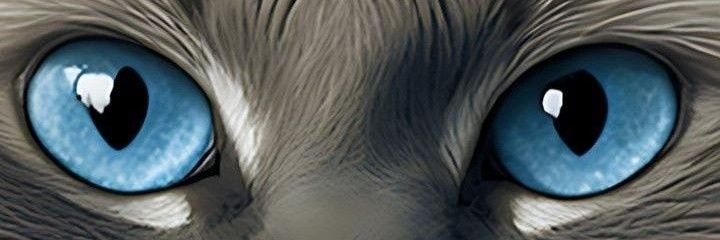 CAYITA2010's profile banner image