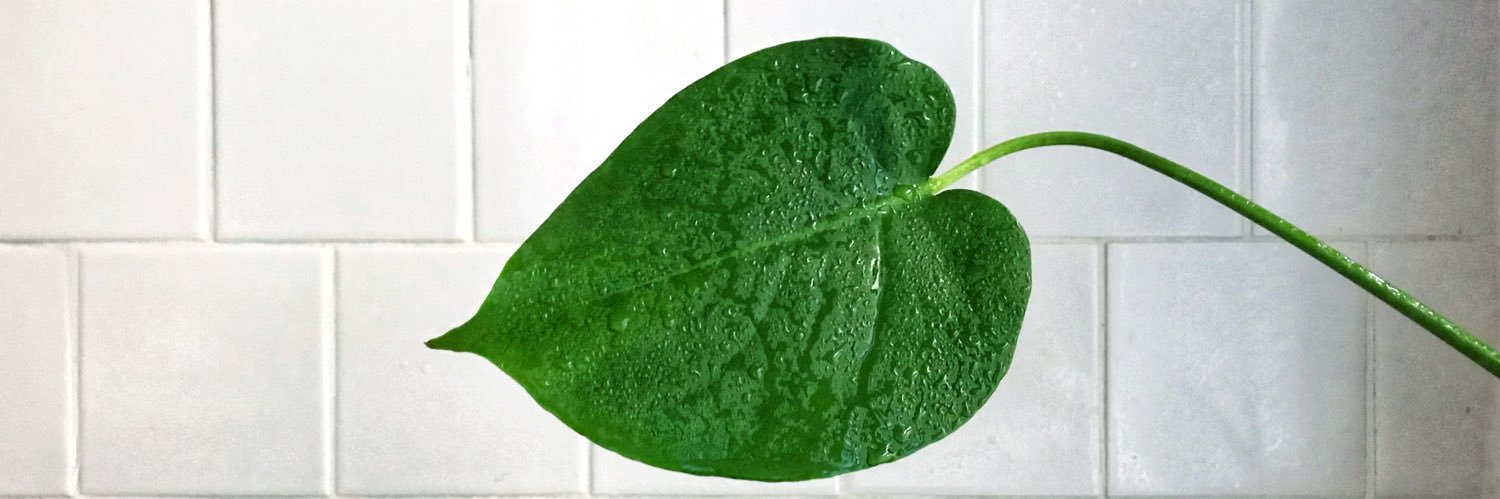 Angelo Landriscina, MD FAAD banner