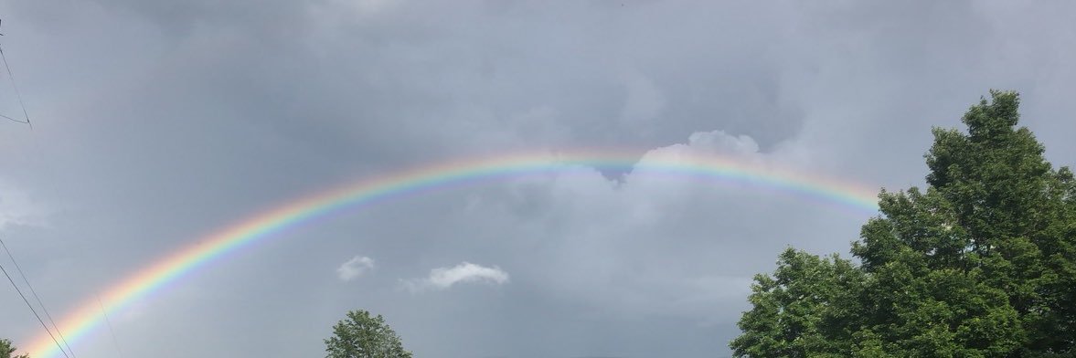 lydiaferrell7's profile banner image