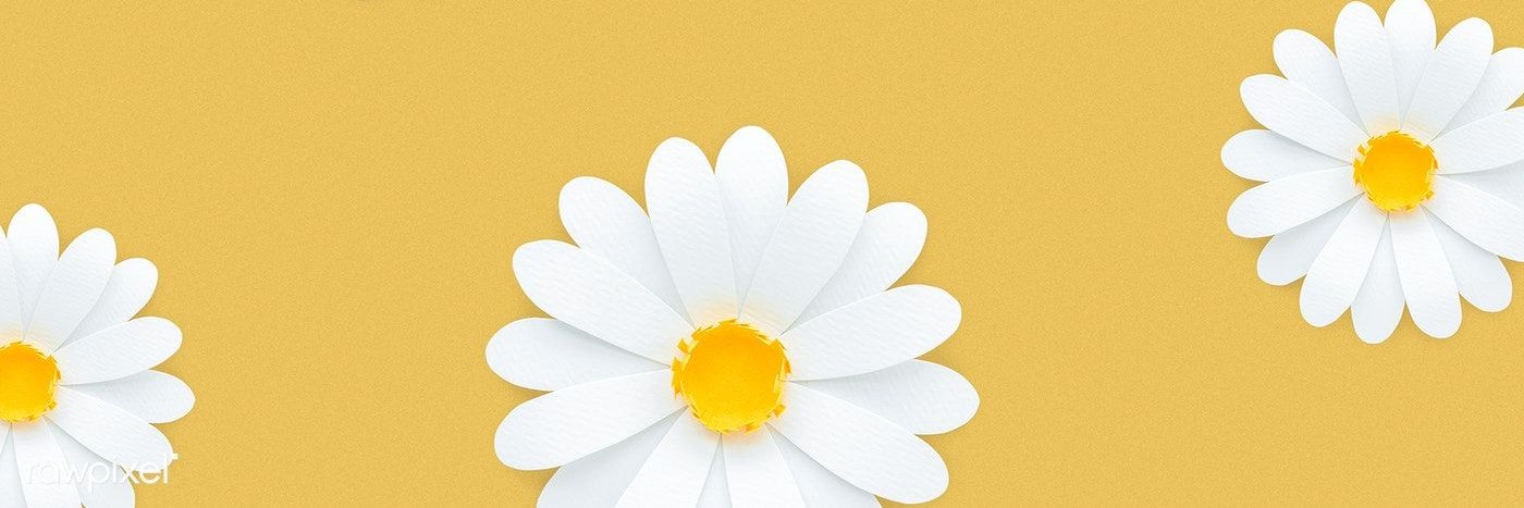 deeharpers's profile banner image