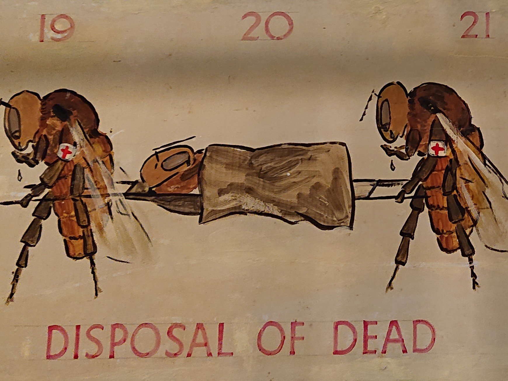 distractedbybee's profile banner image