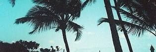 delsimercedes's profile banner image