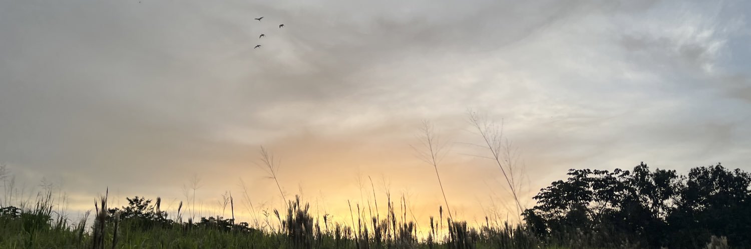 Yamaritza1's profile banner image