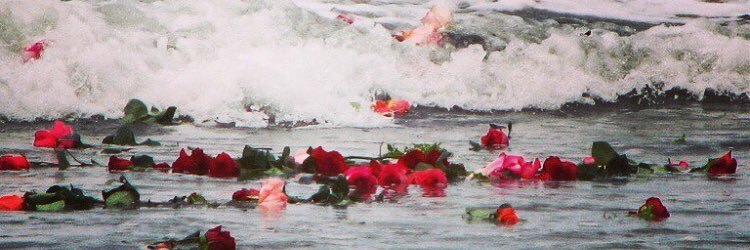 Mrs_Nutini's profile banner image
