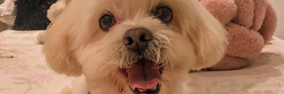 debwra's profile banner image