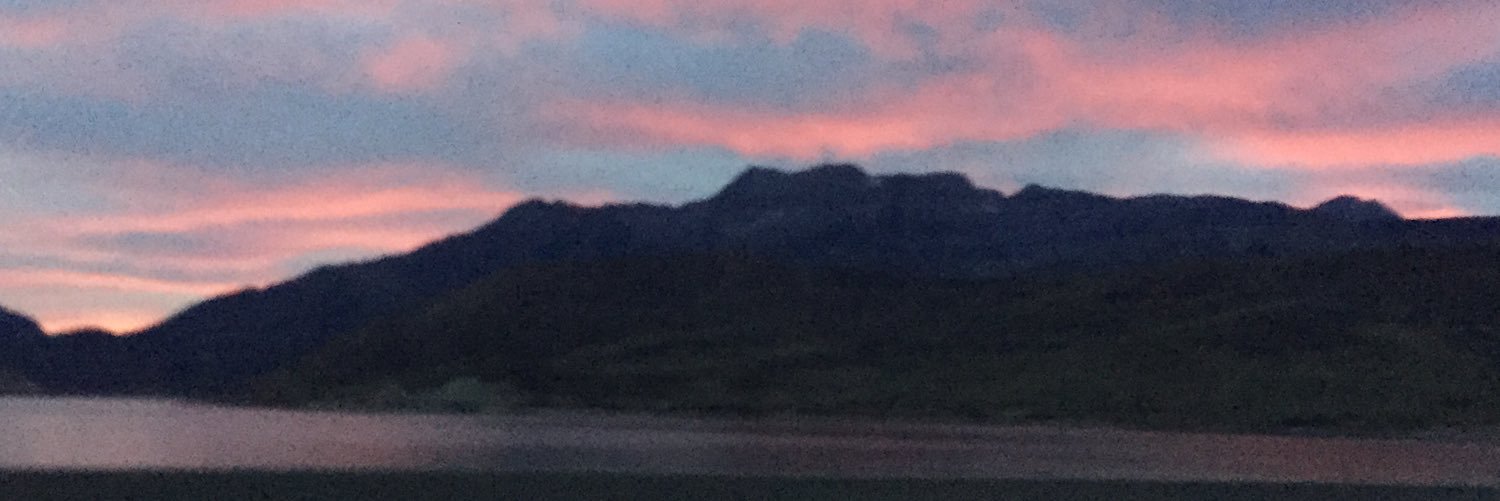 Errol L. Flynn banner