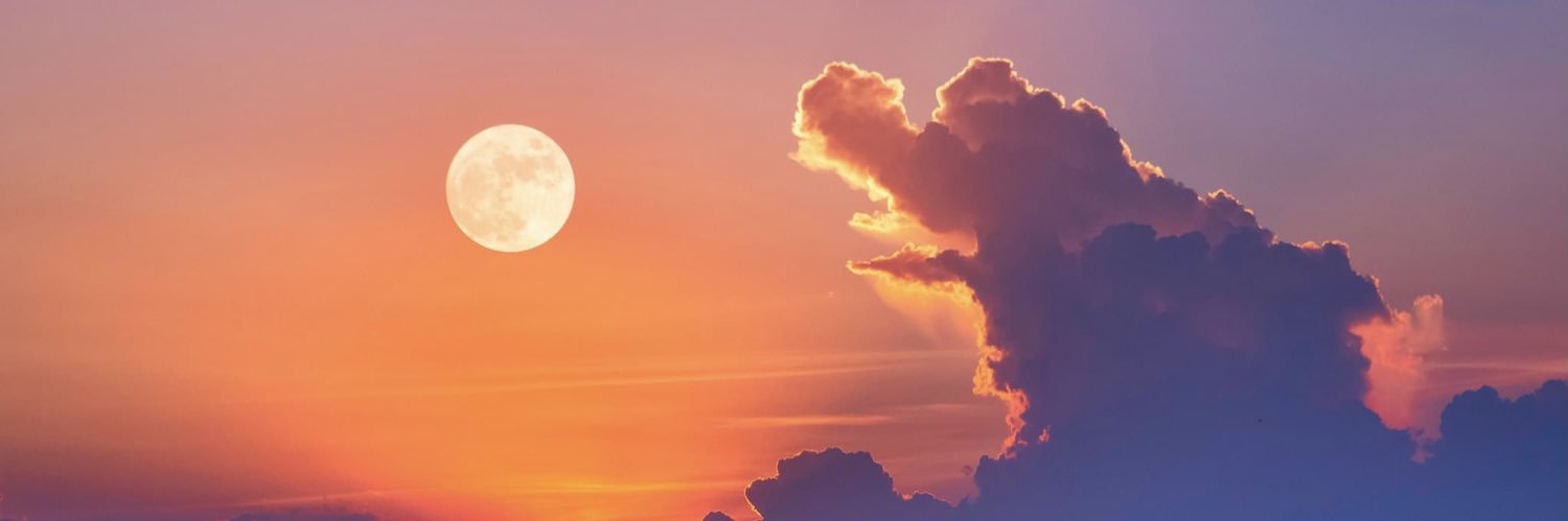 MyTran313's profile banner image