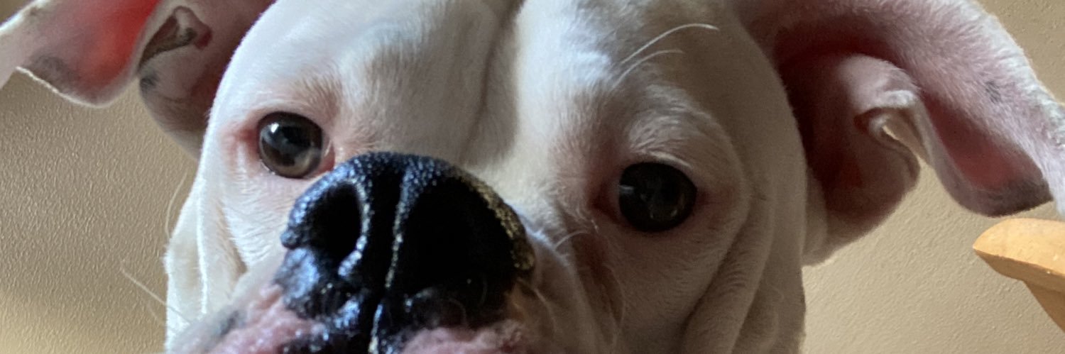LeeLeeAnne14's profile banner image