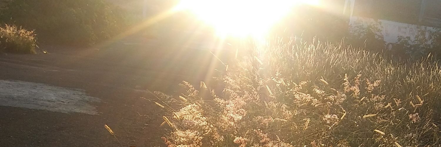 BereAguiZam's profile banner image