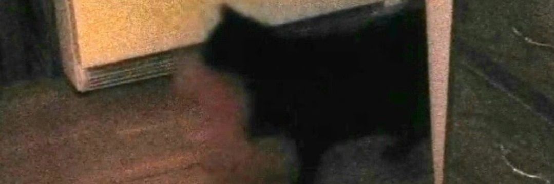 feeling oomf-y tonight ;) banner